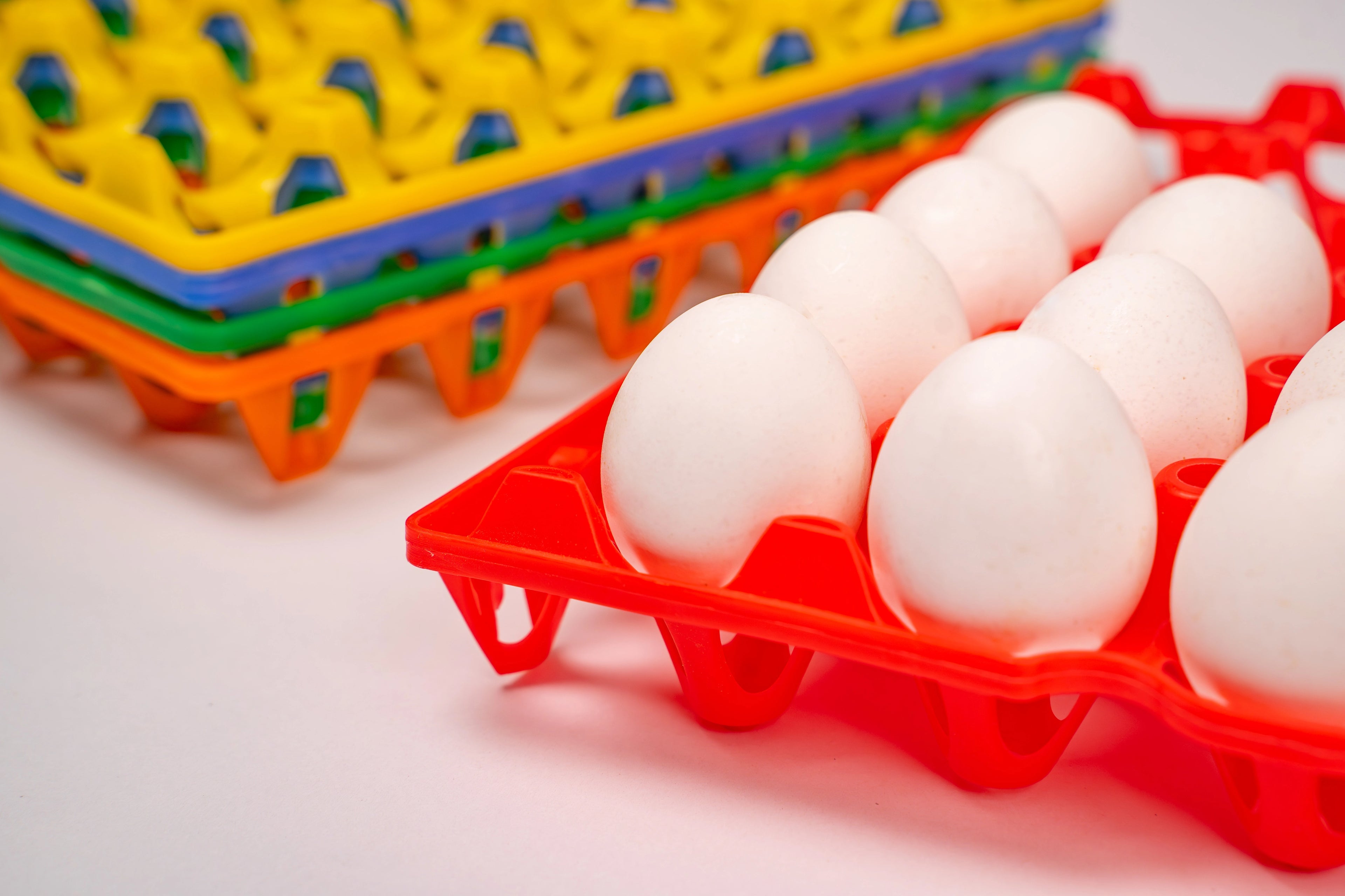 EGG TRAY