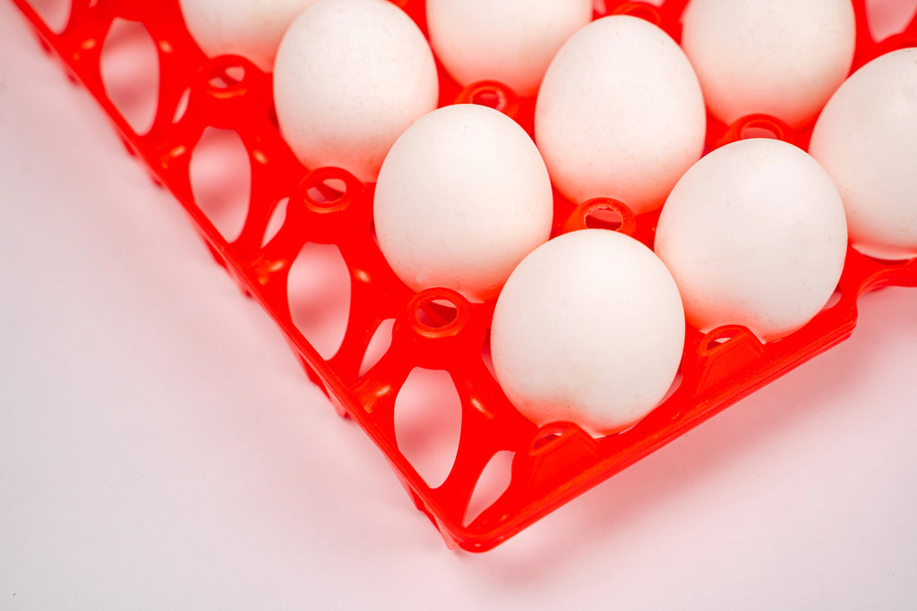 EGG TRAY