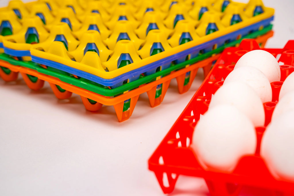 EGG TRAY