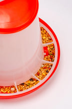 Chicken Feeder