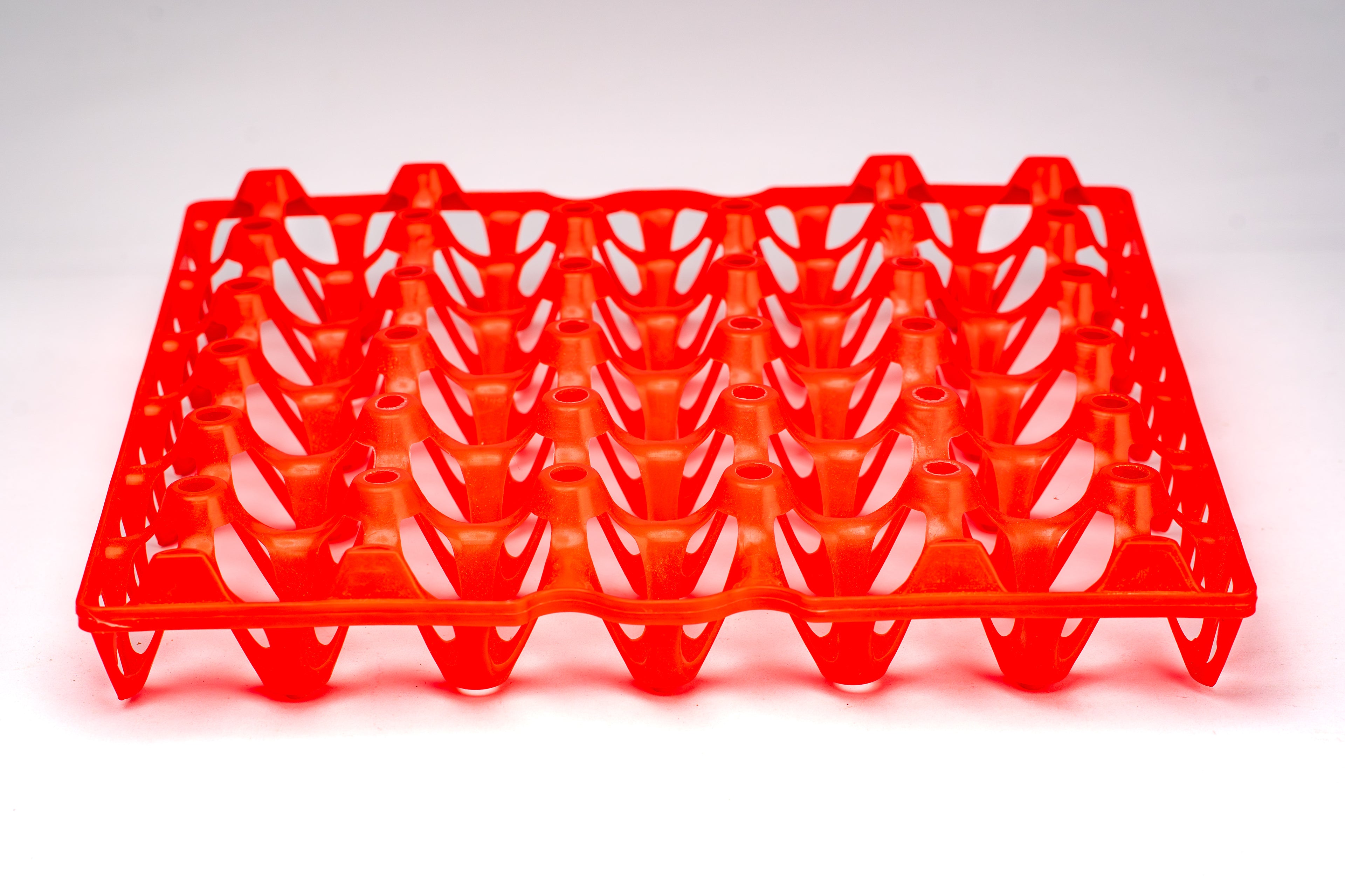 EGG TRAY