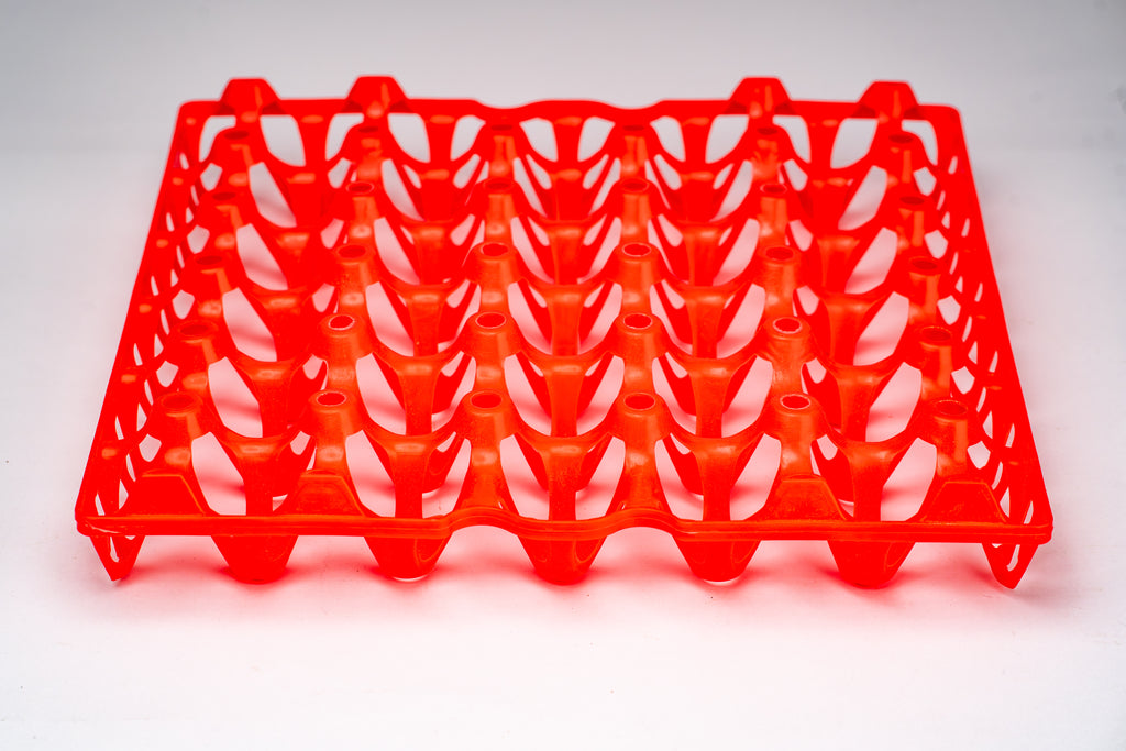 EGG TRAY