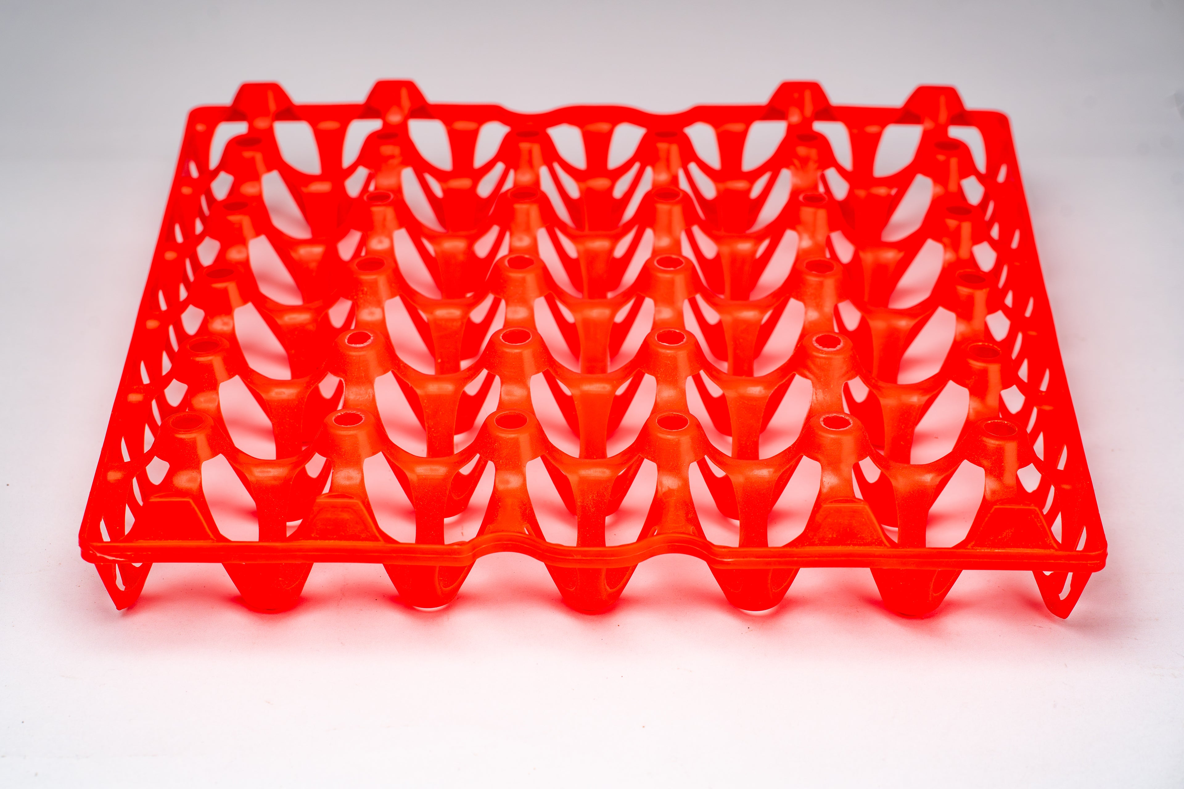 EGG TRAY