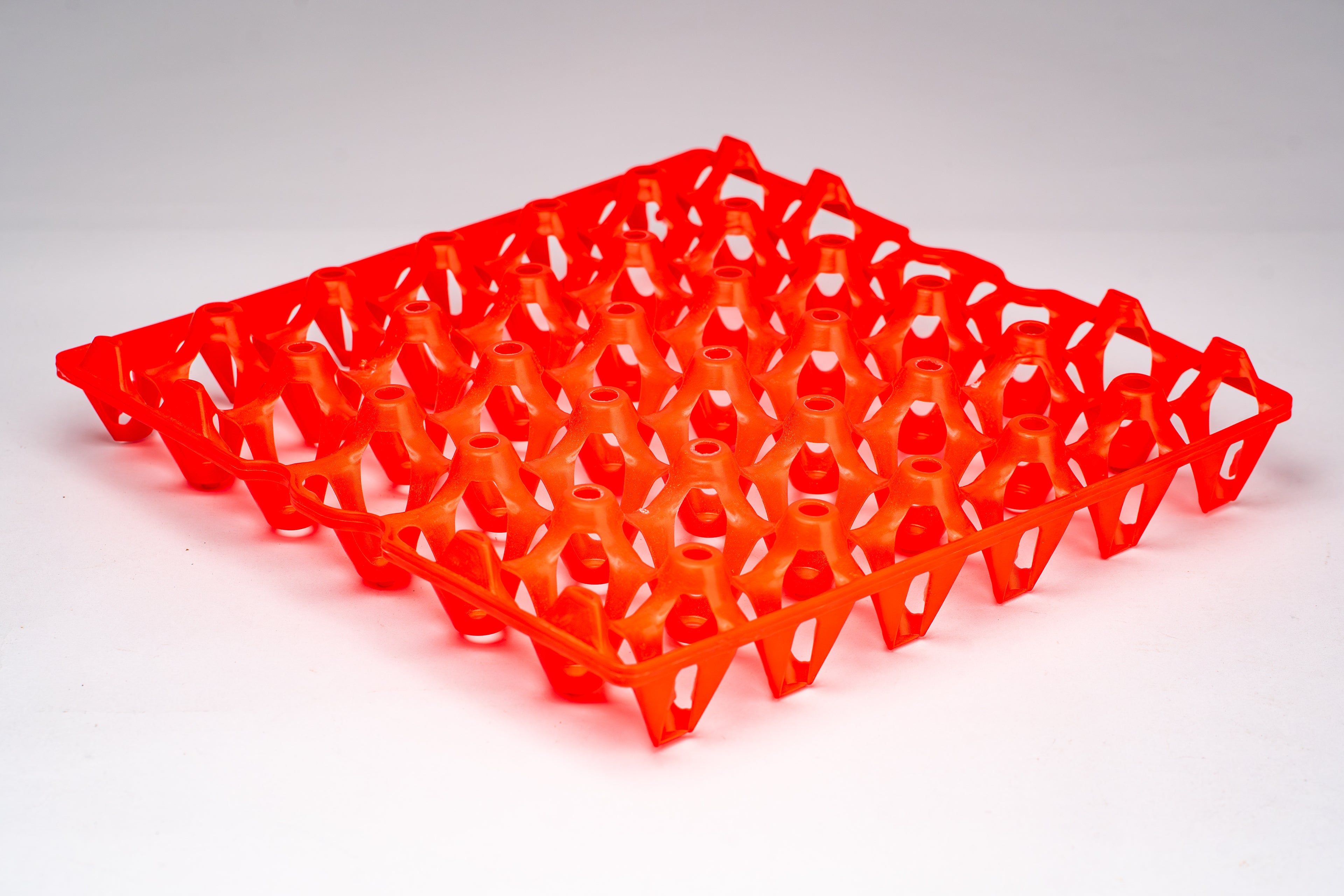 EGG TRAY