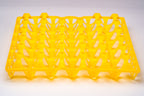 EGG TRAY