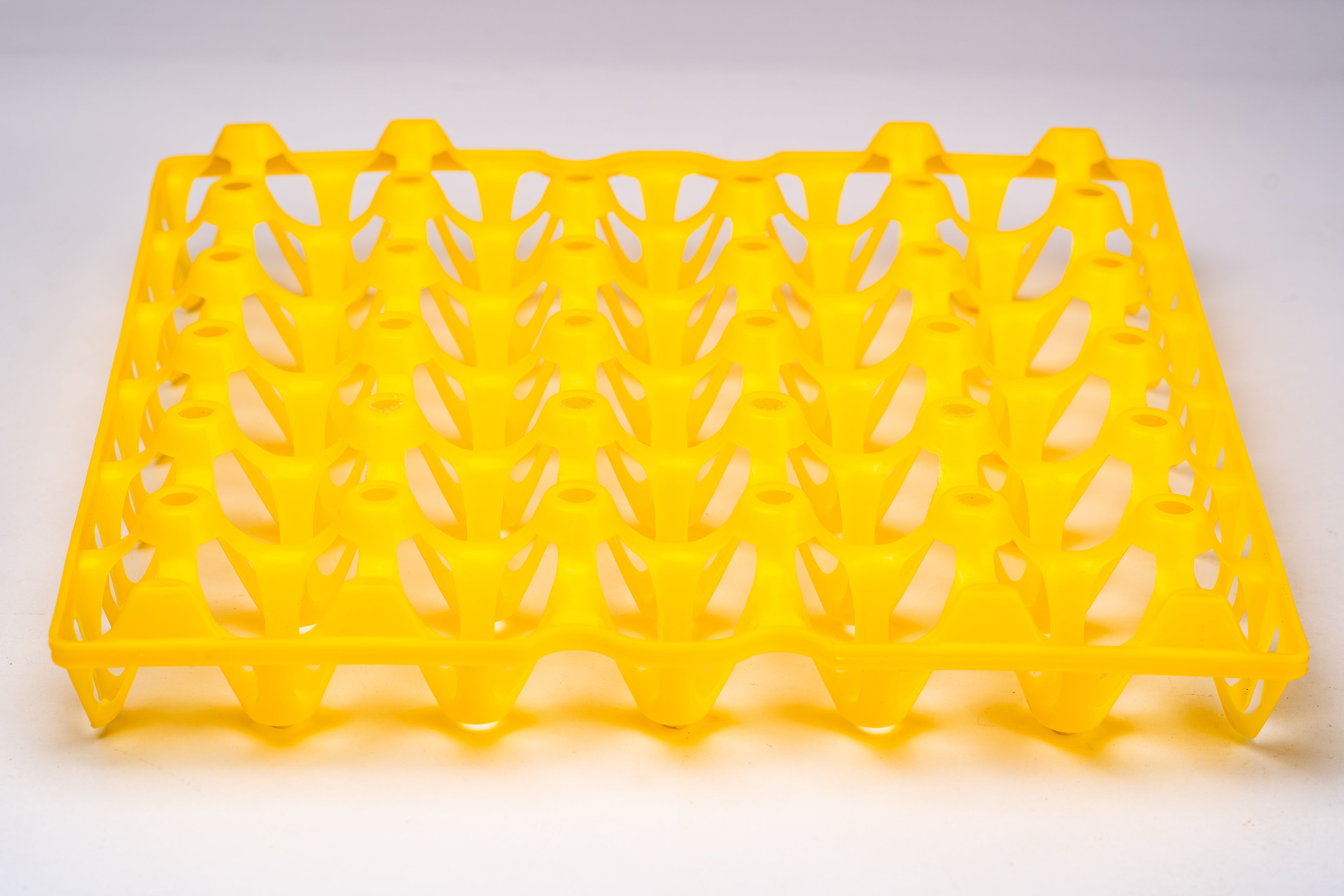 EGG TRAY