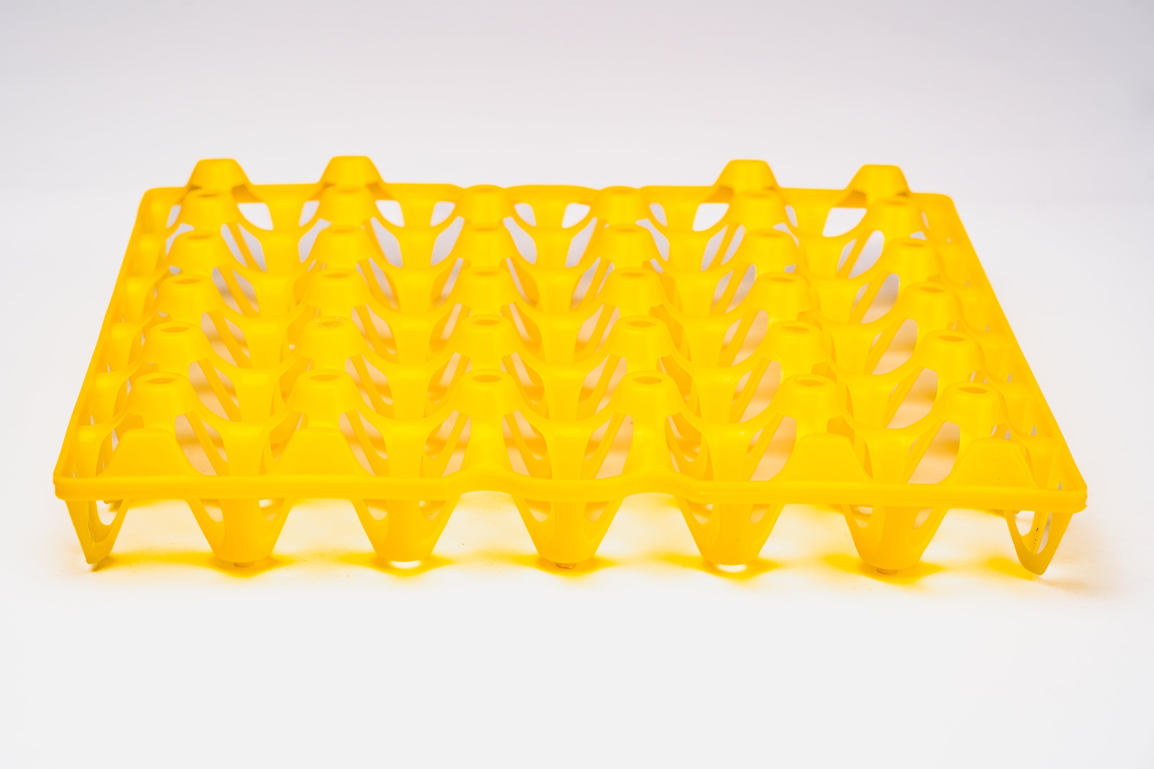 EGG TRAY