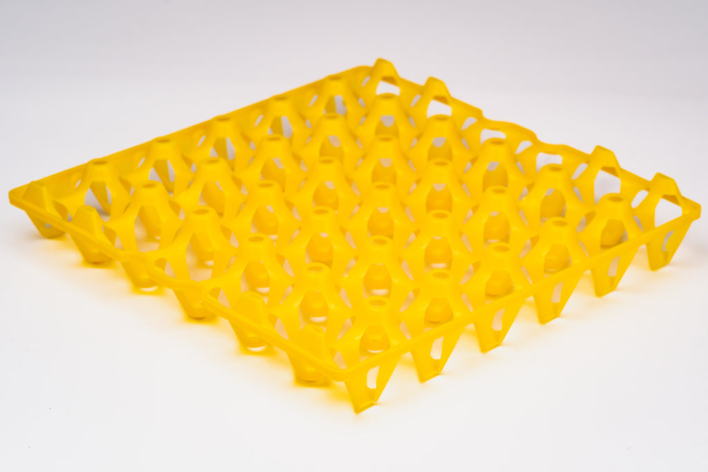 EGG TRAY