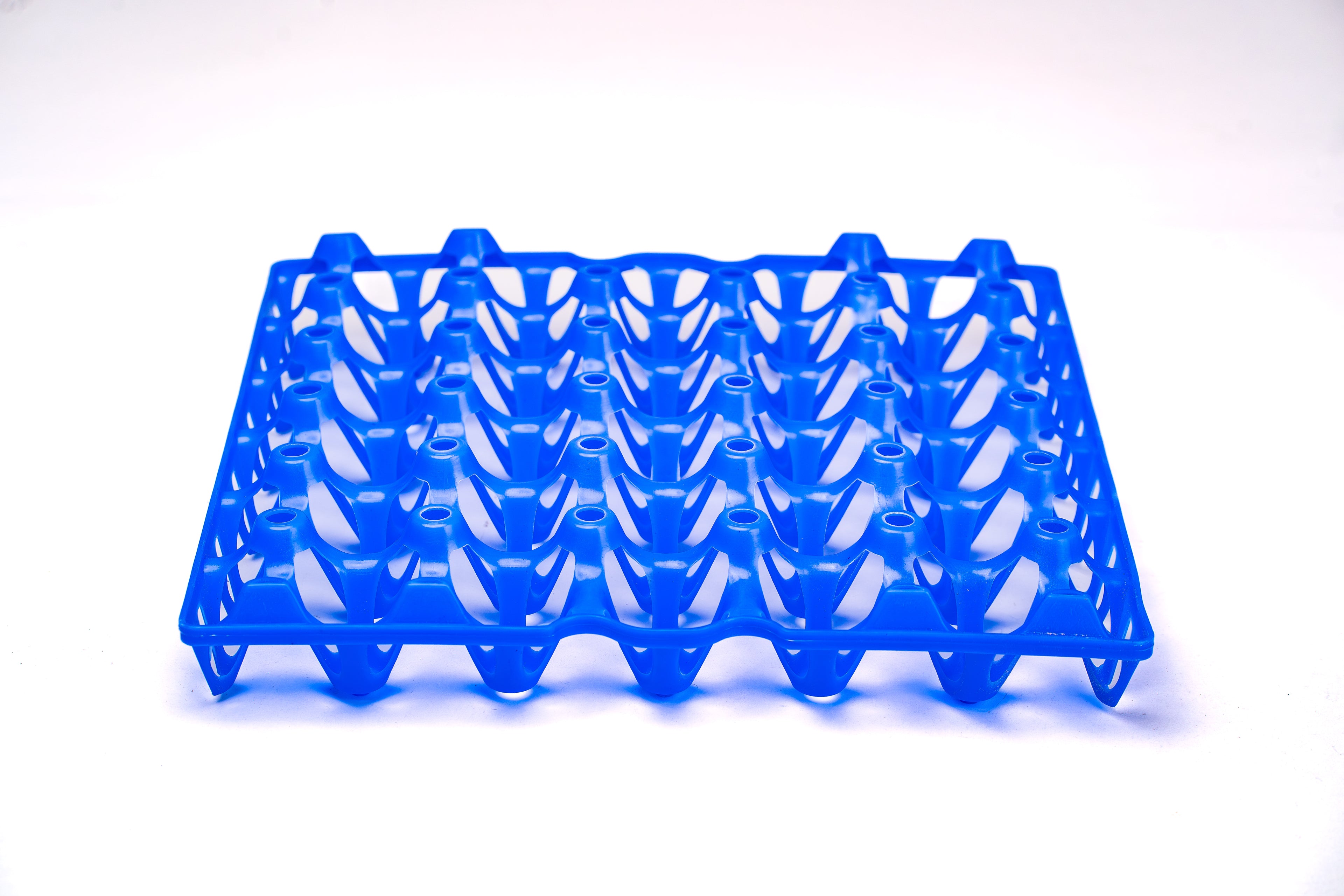 EGG TRAY