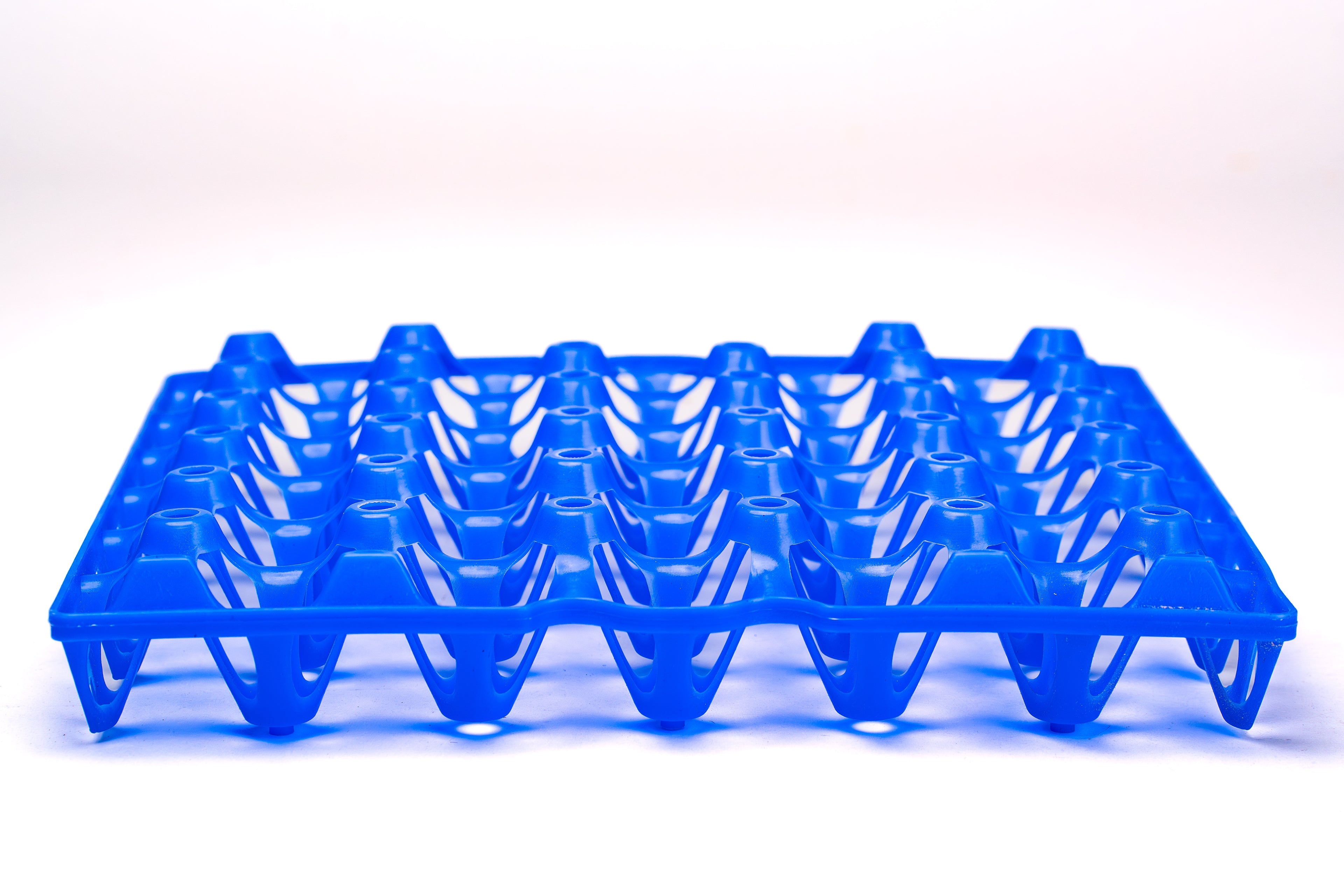 EGG TRAY
