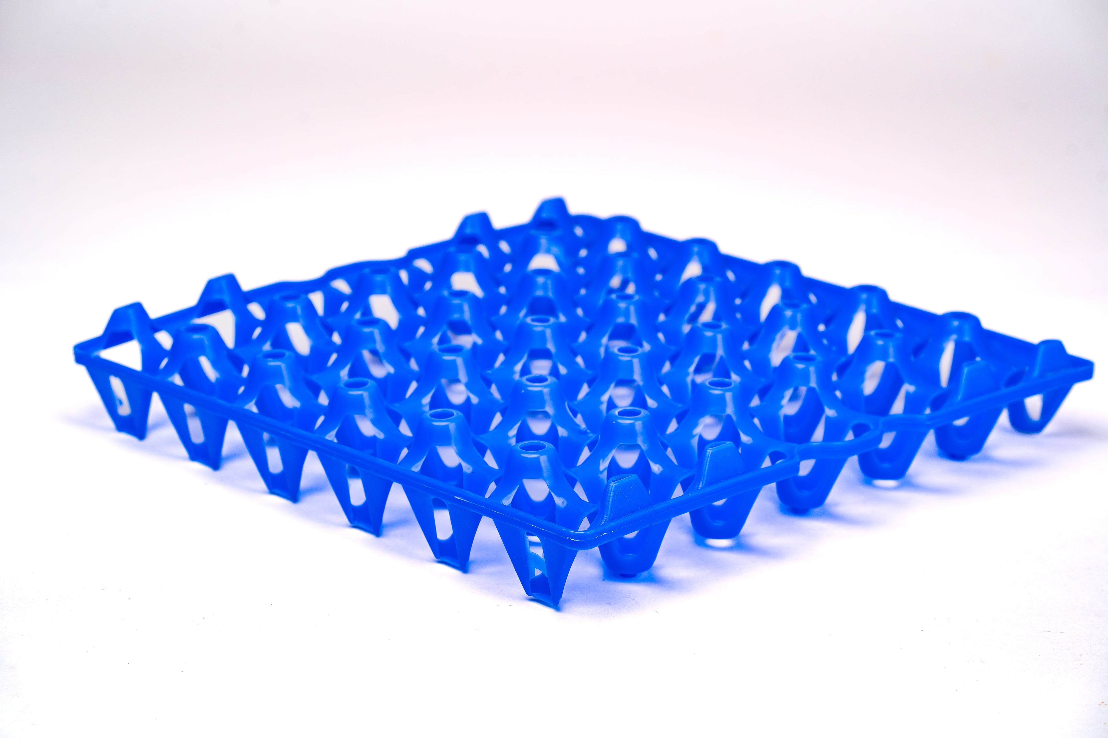 EGG TRAY