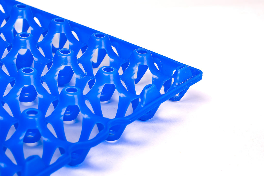 EGG TRAY