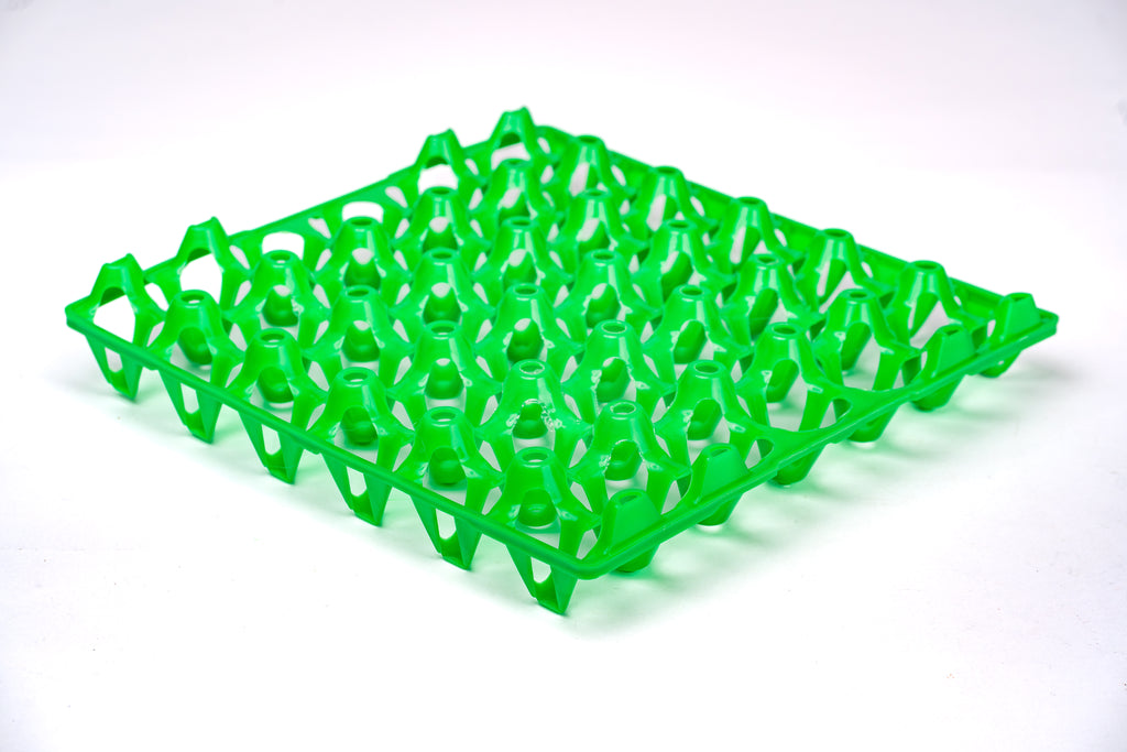 EGG TRAY