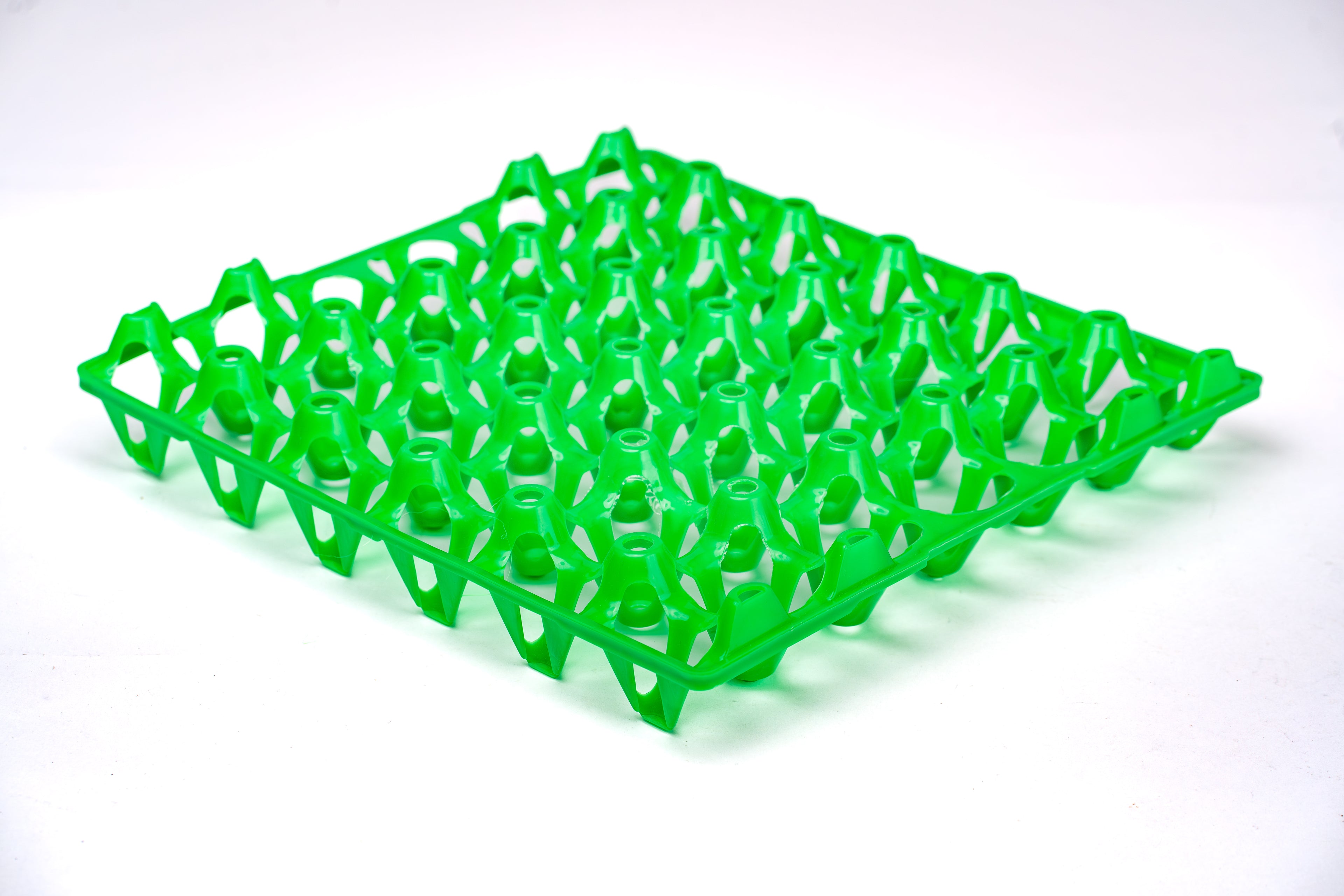 EGG TRAY