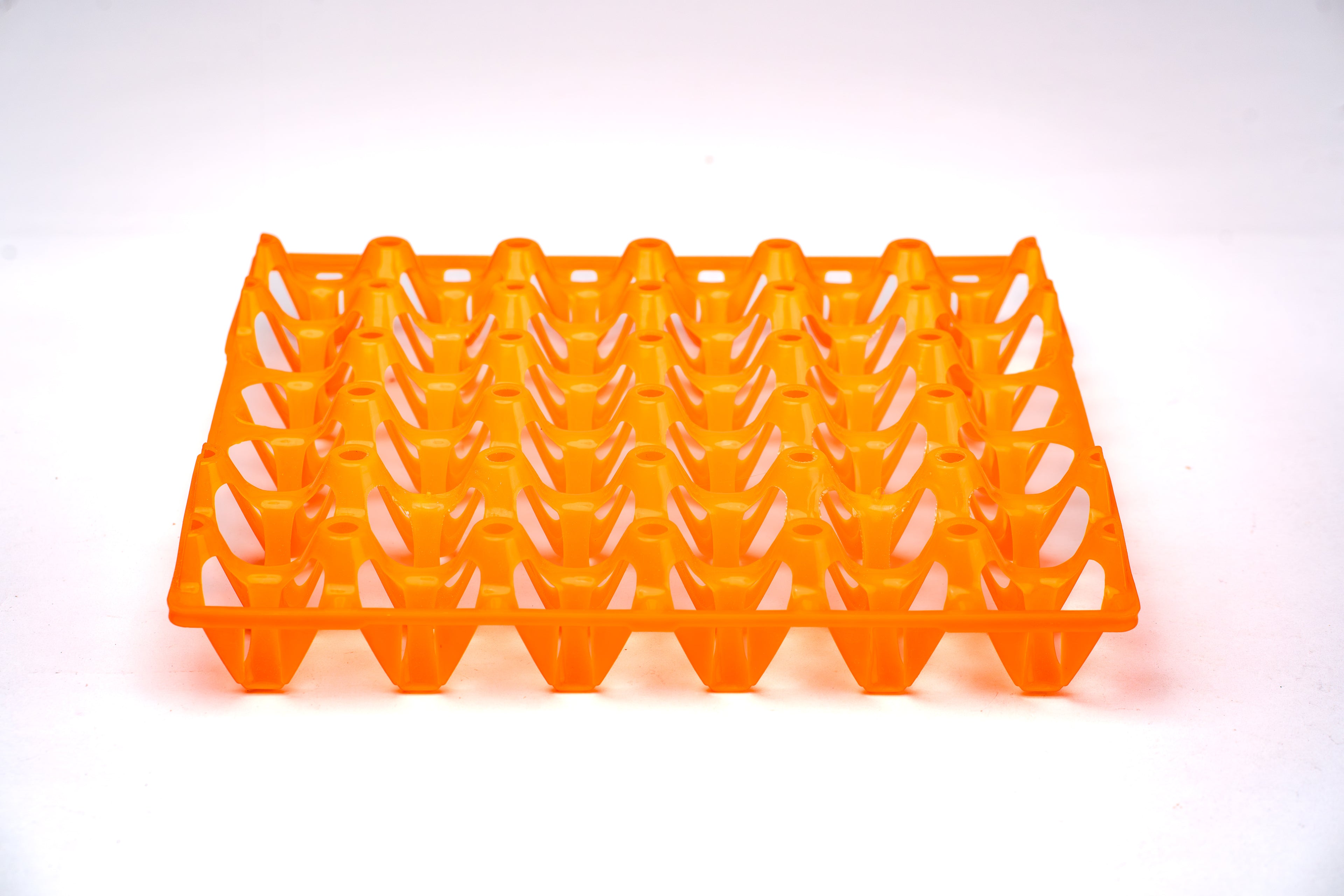 EGG TRAY