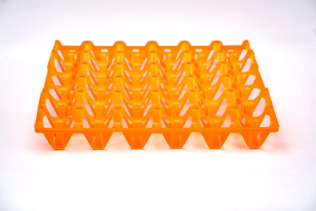 EGG TRAY