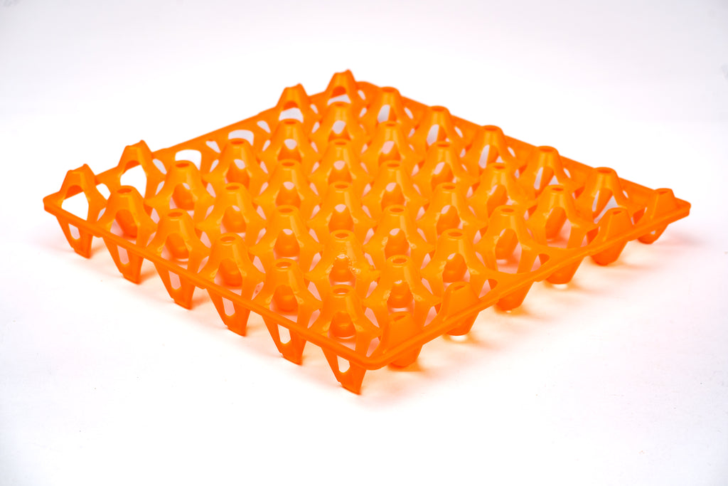 EGG TRAY