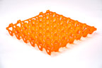 EGG TRAY